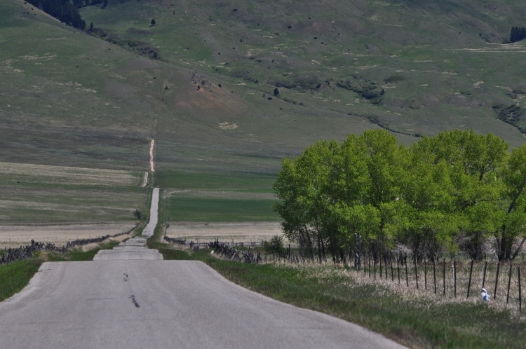 long country road ahead